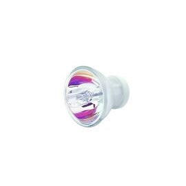 Light Bulb, 12 VAC 75 Watt - DCI 8693 - Avtec Dental